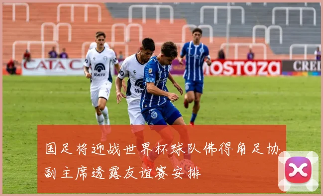 国足将迎战世界杯球队佛得角足协副主席透露友谊赛安排